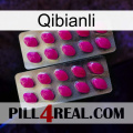 Qibianli 10